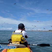 Bicivan Tour Kayak Buceo Mar isla gorgona Pacifico Colombia