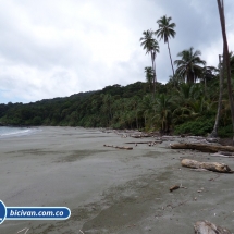 Bicivan Tour Kayak Buceo Mar isla gorgona Pacifico Colombia