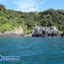 Bicivan Tour Kayak Buceo Mar isla gorgona Pacifico Colombia