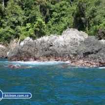 Bicivan Tour Kayak Buceo Mar isla gorgona Pacifico Colombia