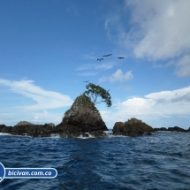 Bicivan Tour Kayak Buceo Mar isla gorgona Pacifico Colombia