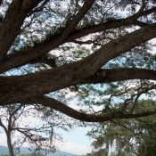 Laguna de Sonso Kayak Colombia