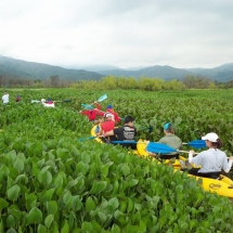 Laguna de Sonso Kayak Colombia