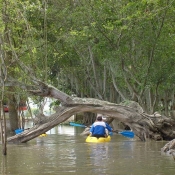 Laguna de Sonso Kayak Colombia