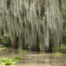 Laguna de Sonso Kayak Colombia