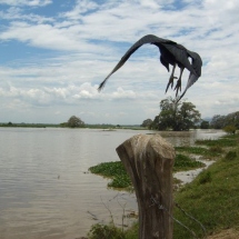 Laguna de Sonso Kayak Colombia