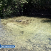 bicivan tour kayak rio orinoco puerto carreno colombia