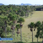 bicivan tour kayak rio orinoco puerto carreno colombia
