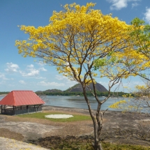 Bicivan Tour Kayak Rio Orinoco Puerto Carreno Colombia