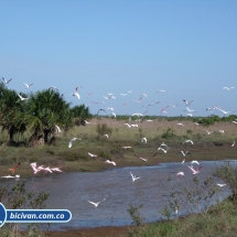 Bicivan Tour Kayak Rio Orinoco Puerto Carreno Colombia