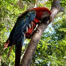 Bicivan Tour Kayak Rio Orinoco Puerto Carreno Colombia