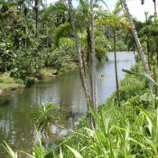 Kayak Rio Anchicaya Colombia