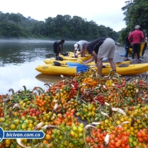 bicivan-tour-kayak-rio-anchicaya-sabaletas-valle-del-cauca-pacifico-colombia-46-jpg