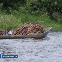 Bicivan Tour Kayak Rio Anchicaya Sabaletas Mar Valle del Cauca Pacifico Colombia