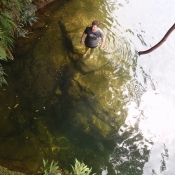 Rio Sabaletas Kayak Colombia