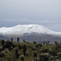 Bicivan Volcan Purace Colombia