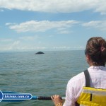 bicivan-tour-kayak-mar-bahia-malaga-juanchaco-ladrilleros-colombia-ballenas-en-el-pacifico-colombiano