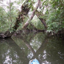 Bahia Malaga - Bicivan Kayak Colombia (11 de 32).jpg