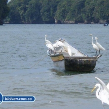 Bahia Malaga - Bicivan Kayak Colombia (31 de 32).jpg